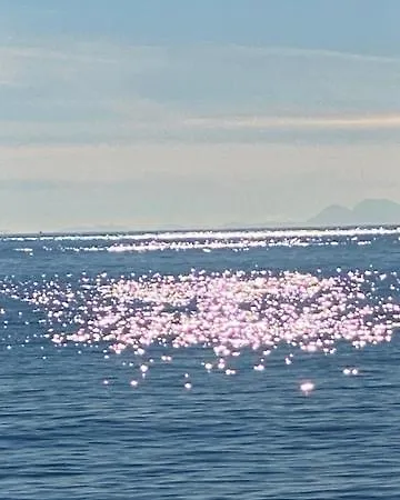 Palmsea Marbella-estepona شقة Buenas Noches